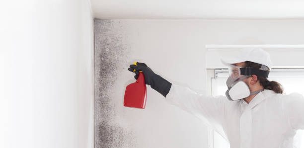 Best Water Damage Restoration  in Bidwell, OH