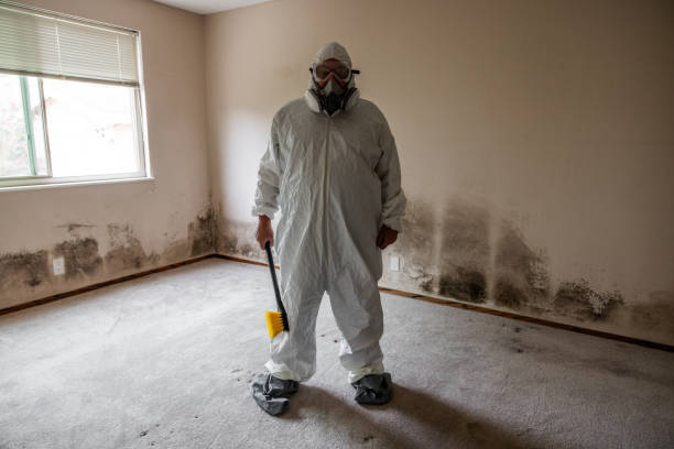 Best Emergency Mold Removal  in Bidwell, OH